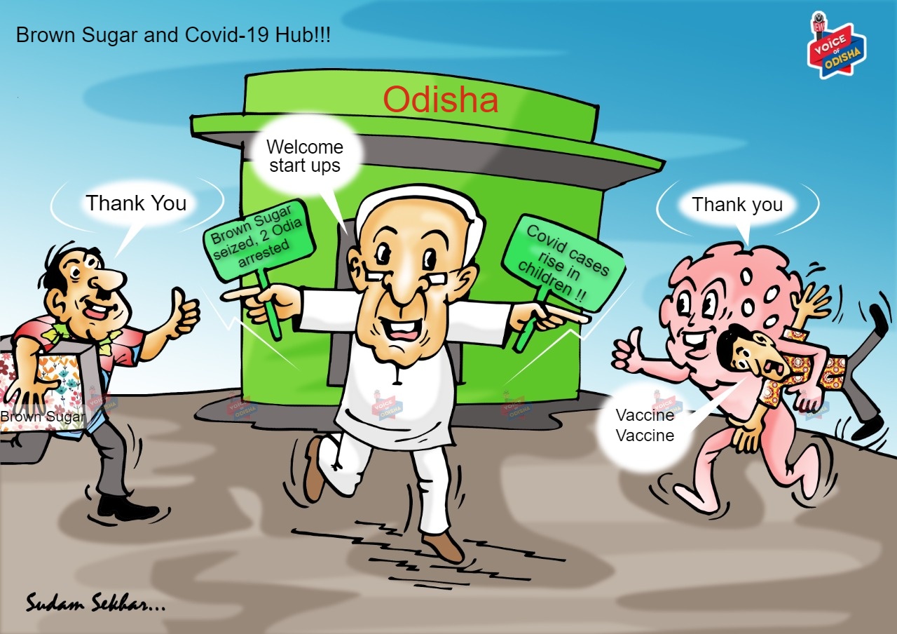 Brown sugar and Covid Hub