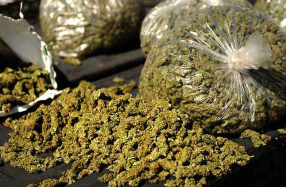 Seized Assets of Odisha Ganja Smugglers Worth Rs. 3 Cr.