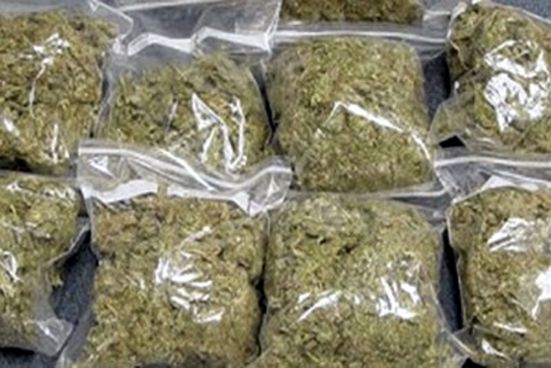 126 kg ganja seized, 1 arrested at Khurda