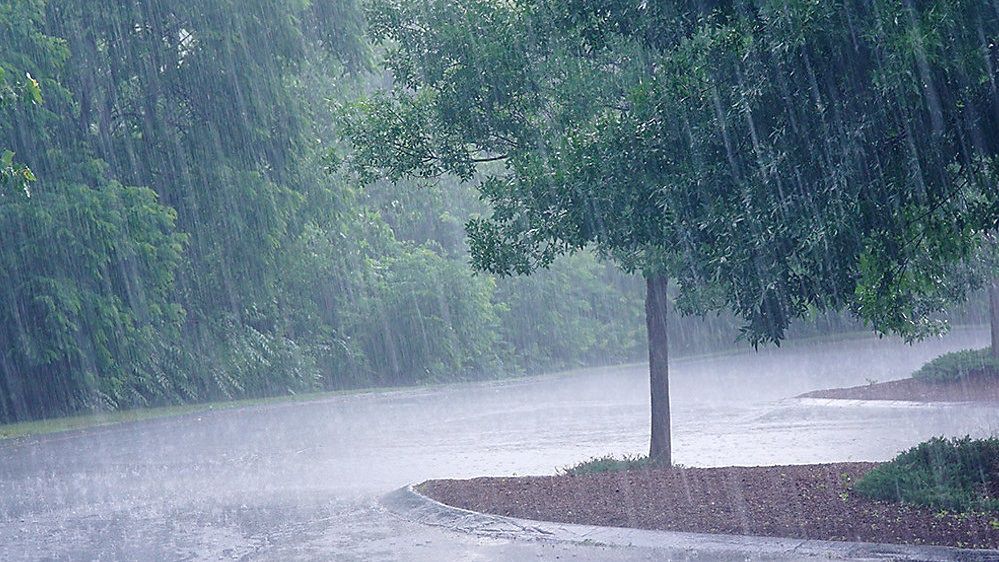 IMD Alerts Fresh Low Pressure Over Bay Of Bengal