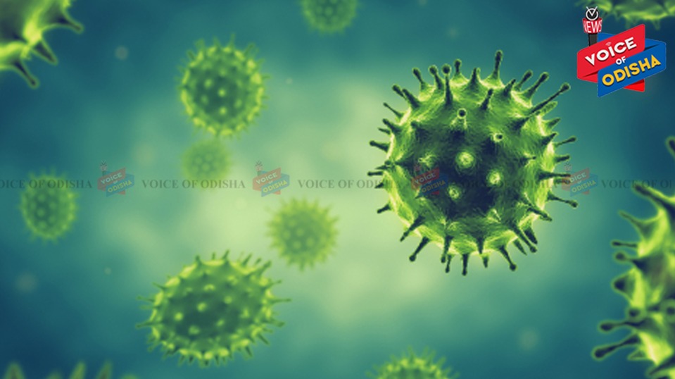 911 MORE TEST POSITIVE FOR COVID-19