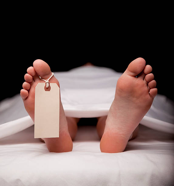 Farmer trampled to death by elephant in Dhenkanal village