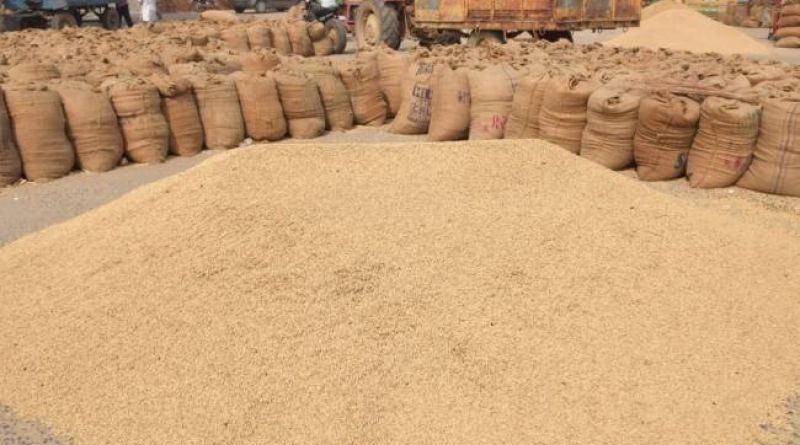 ମଣ୍ଡିରେ ପଡି ରହିଛି ଧାନ,  ଭୋଟ୍ ବର୍ଜର୍ନ ପାଇଁ ଚାଷୀ ଶ୍ରମିକ ସଂଘର ଆହ୍ୱାନ