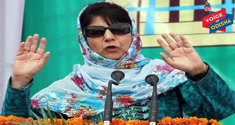 ୧୪ ମାସ ପରେ ମୁକୁଳିଲେ ମେହବୁବା