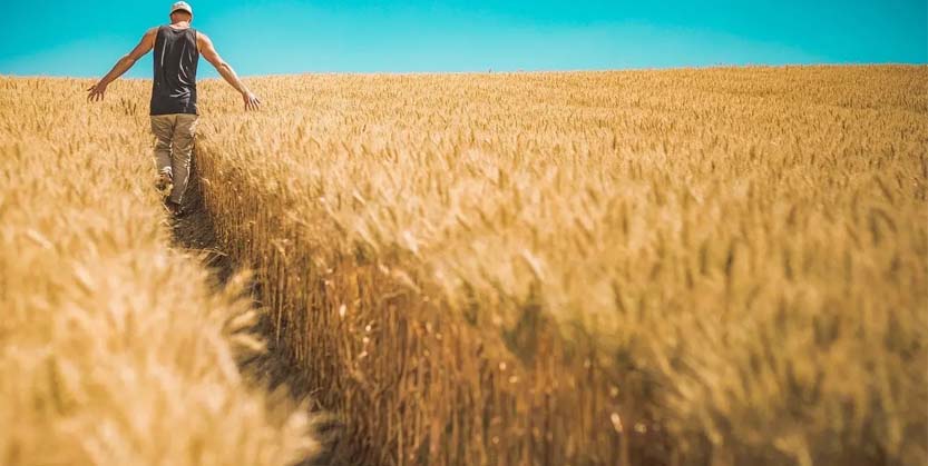 ୧୨ ବରିଷ୍ଠ ଅଧିକାରୀଙ୍କୁ ଜିଲ୍ଲା ଦାୟିତ୍ୱ, ଖରିଫ ଧାନ ସଂଗ୍ରହ ତଦାରଖ କରିବେ