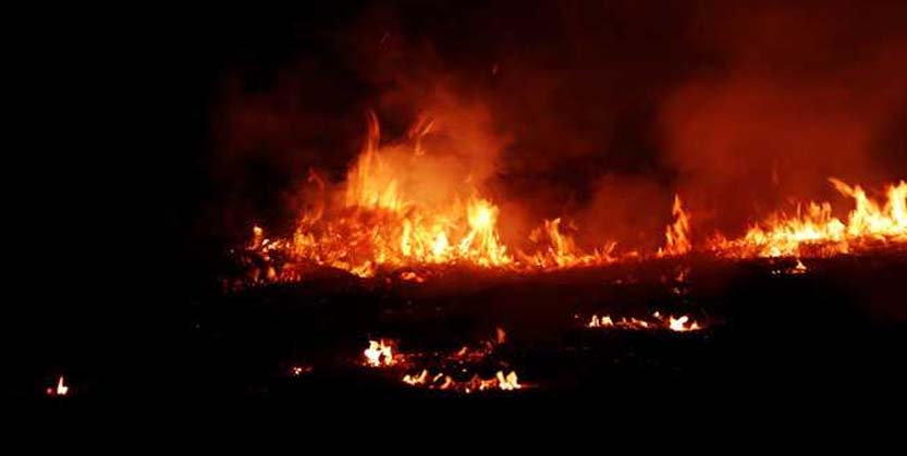 ସାଉଥ ମୁମ୍ବାଇରେ ଫାଟିଲା ଗ୍ୟାସ ଟାଙ୍କି, ୧୬ ଆହତ