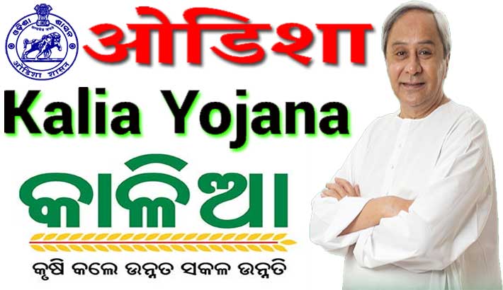  ଚାଷୀଙ୍କୁ ମିଳିବ କାଳିଆ ଟଙ୍କା  : ୫୩ ଲକ୍ଷ ଚାଷୀଙ୍କୁ ୧୨ ଶହ କୋଟି ଟଙ୍କା