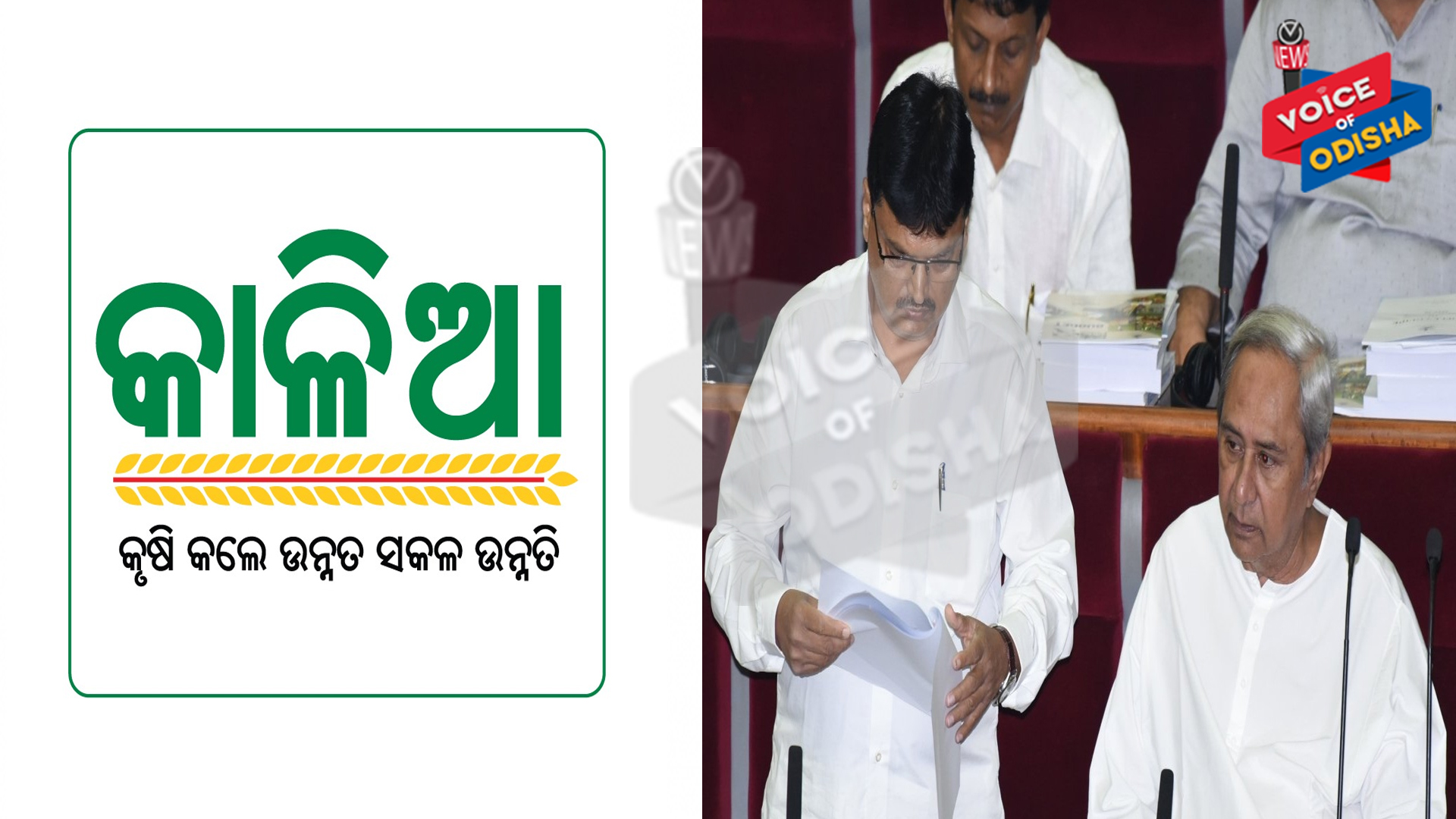 ୨୦୨୧-୨୨ ଆର୍ଥିକ ବର୍ଷର ବଜେଟ : କାଳିଆ ପାଇଁ ୧୮୦୦ କୋଟି ବ୍ୟୟବରାଦ