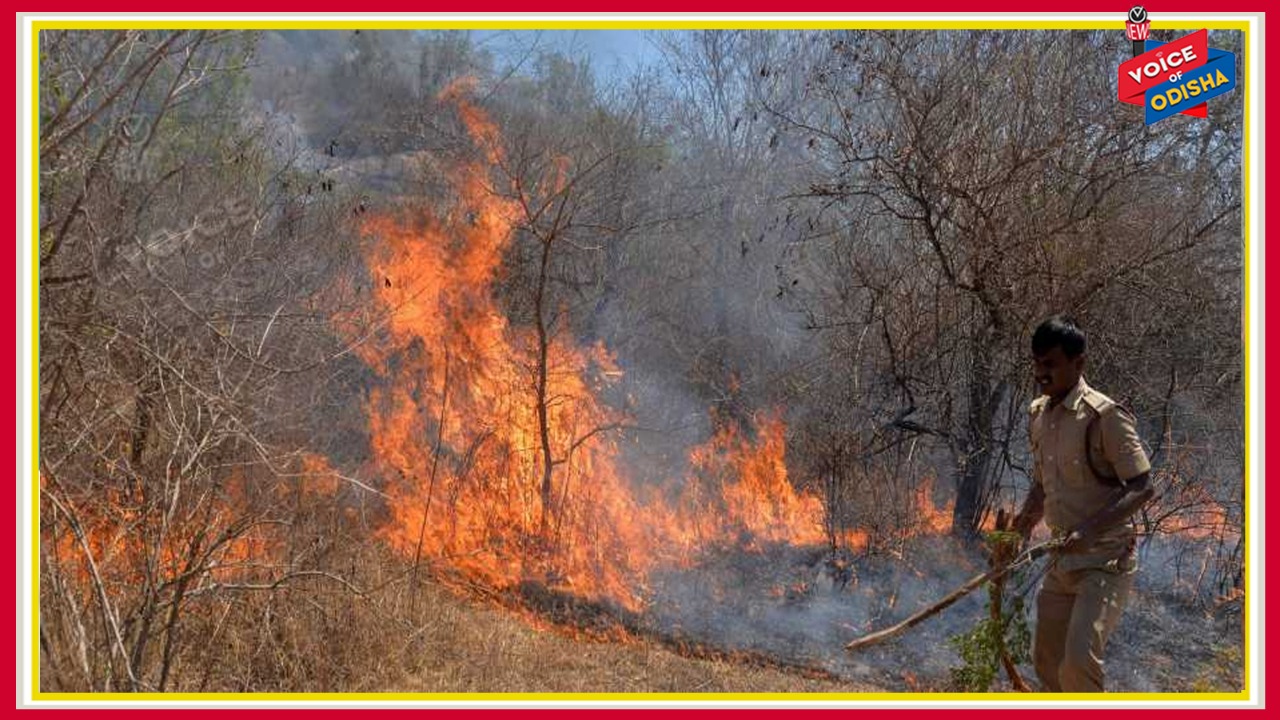 ଶିମିଳିପାଳ ନିଆଁ ଲିଭାଉଛନ୍ତି ହାଜରରୁ ଉଦ୍ଧ୍ୱର୍ କର୍ମଚାରୀ