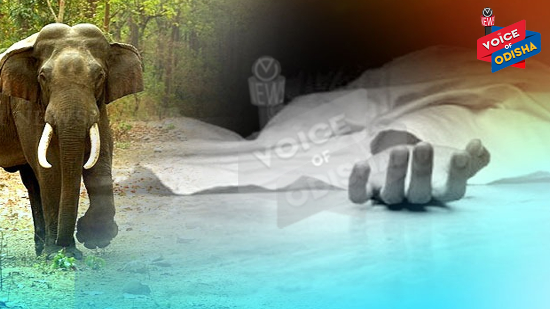 ଦଳିଦେଲା ହାତୀ