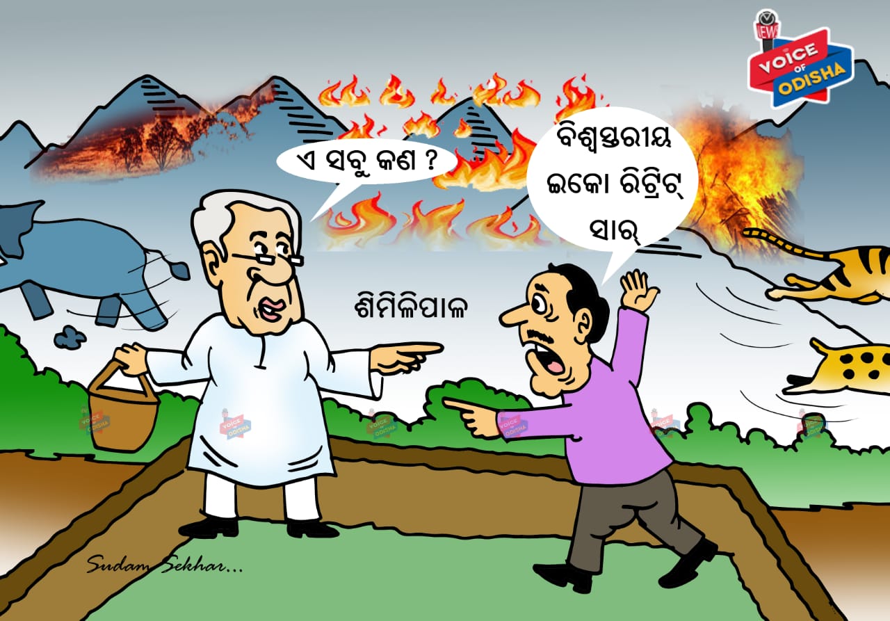  ଏ ସବୁ କଣ ?  ଶିମିଳିପାଳରେ ନିଆଁ । ବିଶ୍ୱସ୍ତରୀୟ ଇକୋ ରିଟ୍ରିଟ୍ ସାର୍ ।