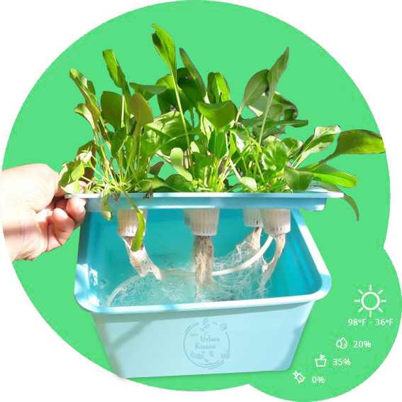 ହାେଇଡ୍ରୋପୋନିକ ଆଗ୍ରୋ କିଟ ଦ୍ୱାରା ଘରେ ଚାଷ