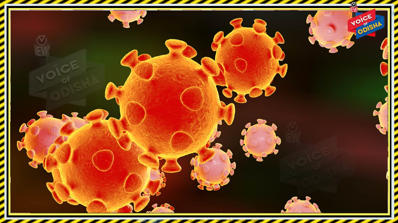 ଓଡ଼ିଶାର ସ୍ଥିତି ଭଲ ରହିଛି : ILS ନିଦେ୍ର୍ଧଶକ