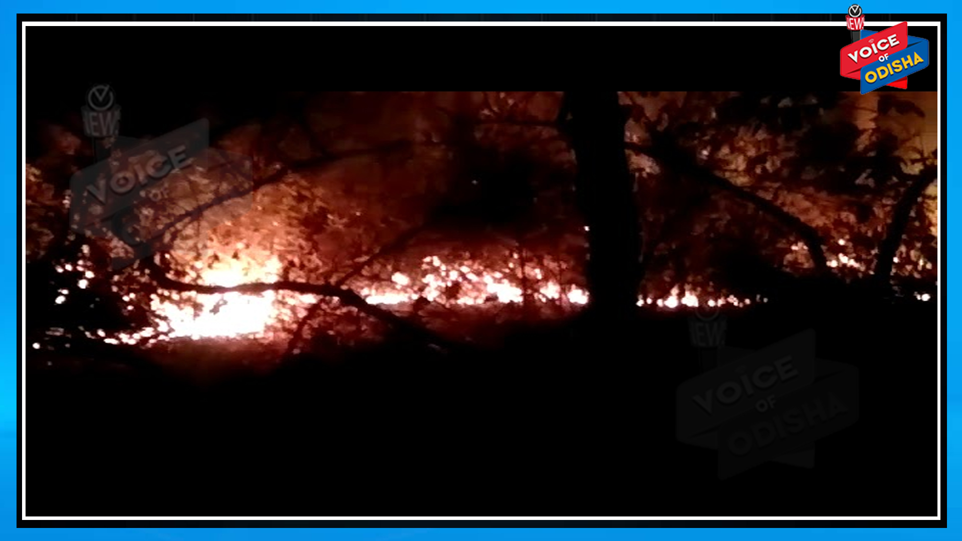 ଜଙ୍ଗଲ ନିଆଁରେ ଜଳିଗଲେ ମହିଳା