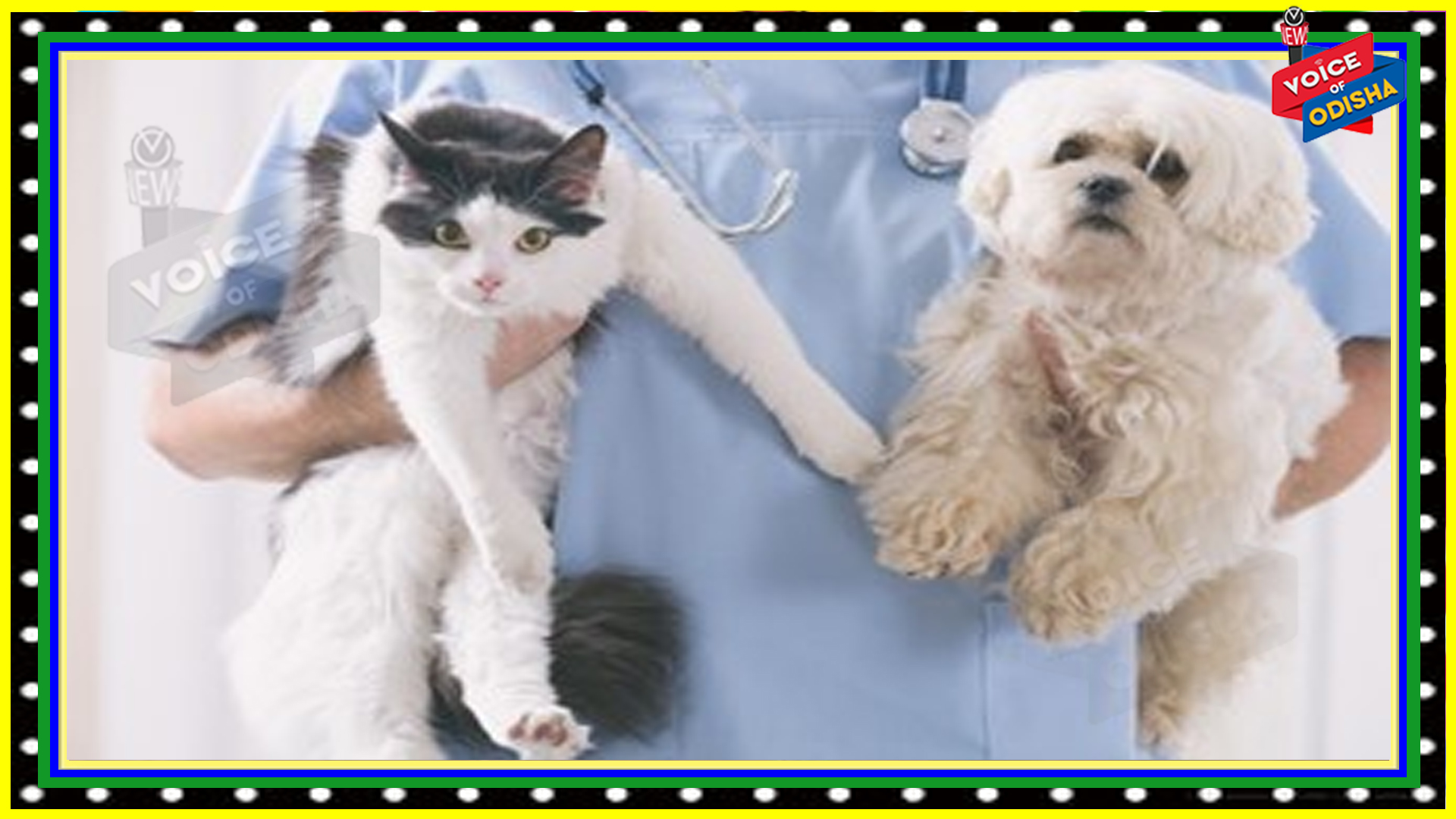 ପଶୁ ନେବେ ‘କାରନିଭାକ-କୋଭ’ ଟିକା