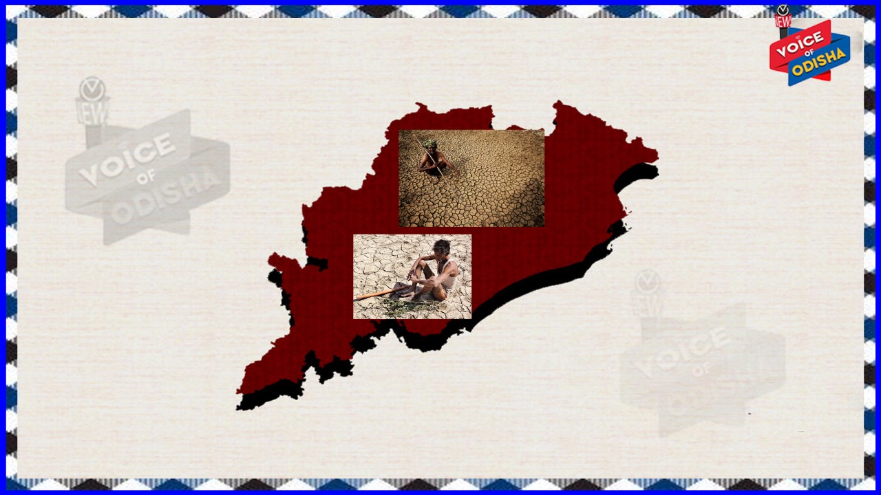  ମୋ ଓଡିଶା କାନ୍ଦୁଚି 