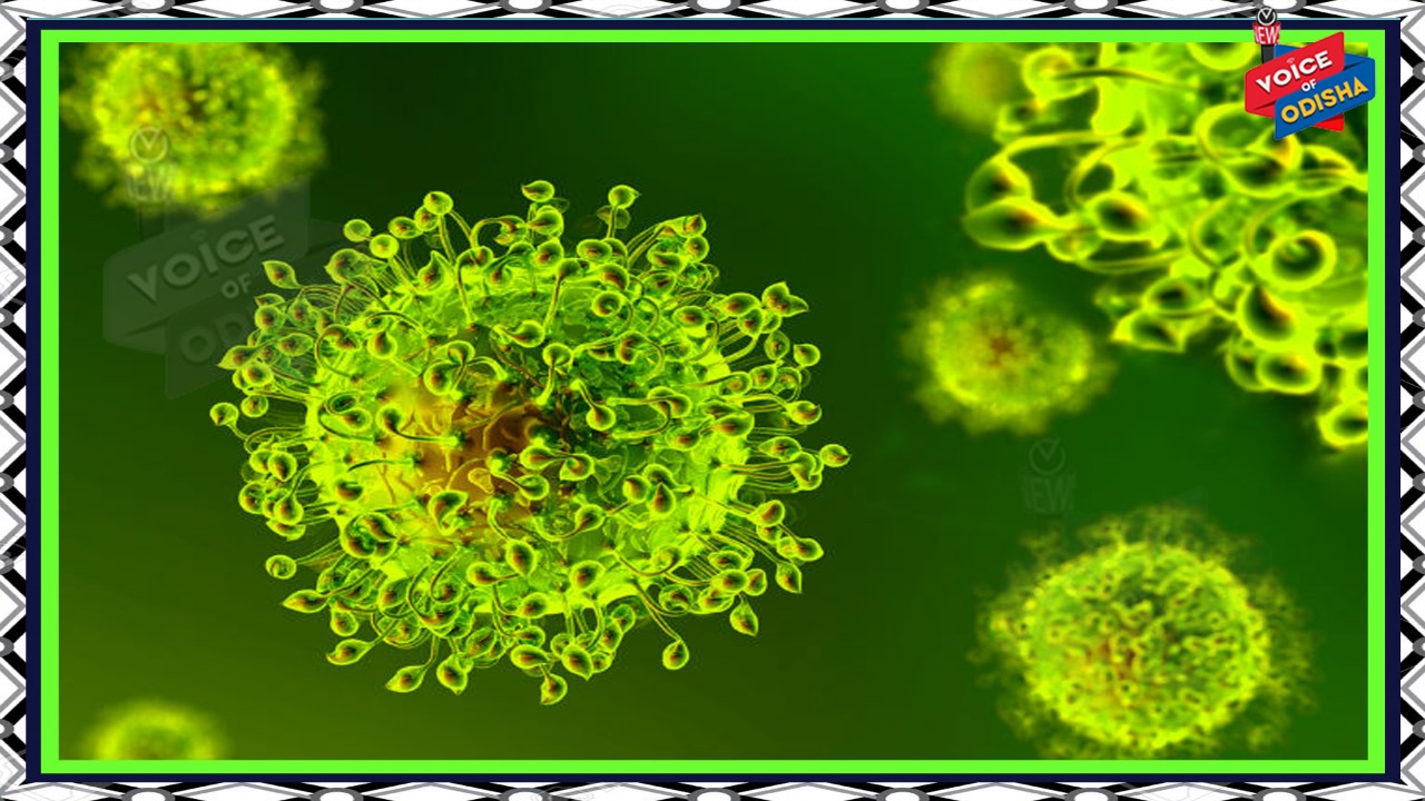 ପୌର ସବୁ କର୍ମଚାରୀଙ୍କ ଛୁଟି ତକ୍ରାଳ ବାତିଲ