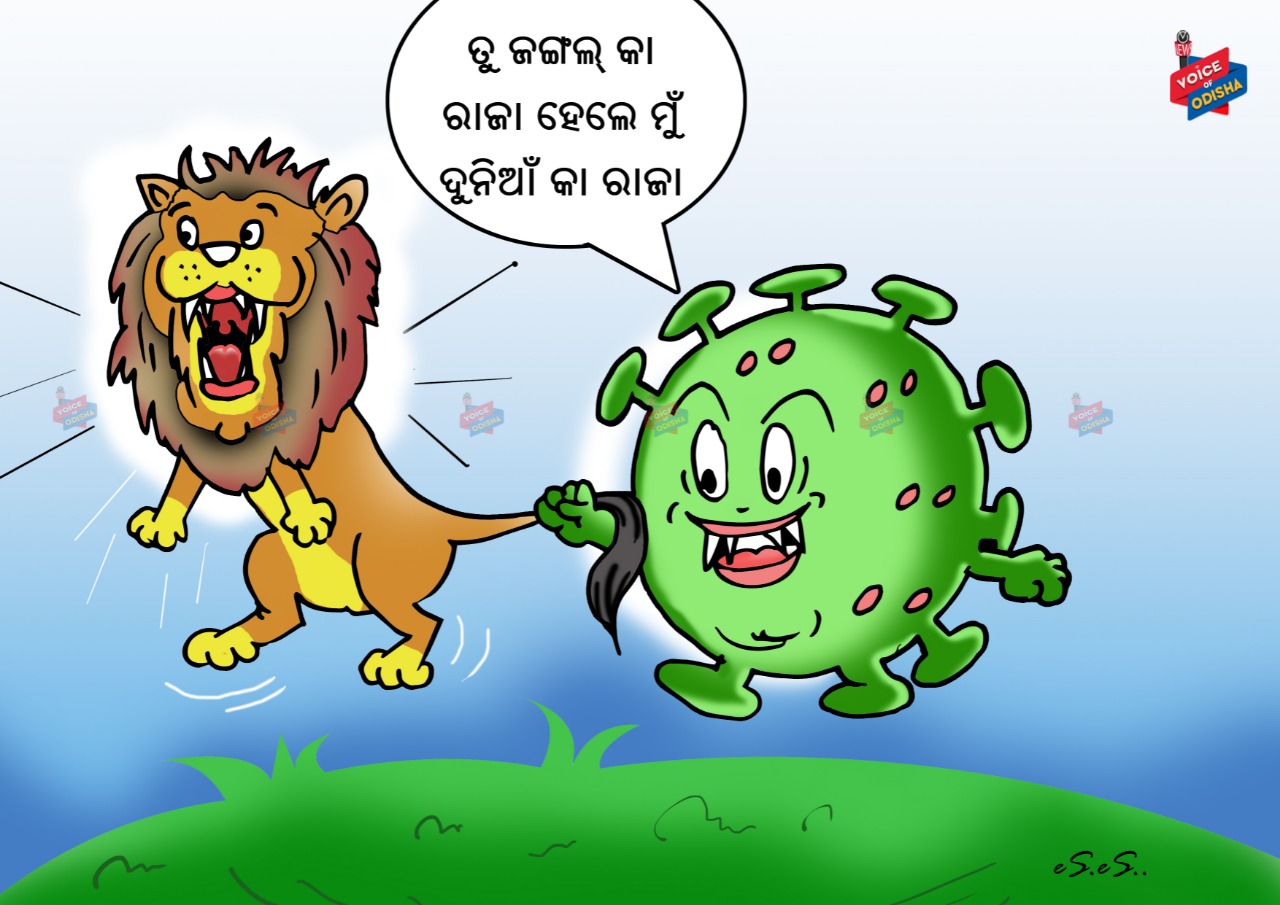 ତୁ ଜଙ୍ଗଲ୍ କା ରାଜା ହେଲେ ମୁଁ ଦୁନିଆଁ କା ରାଜା...