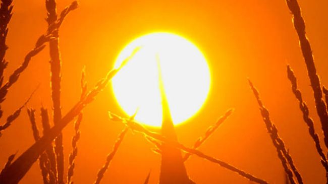 ଖରା ଦିନେ କେମିତି ରହିବେ ଫିଟ