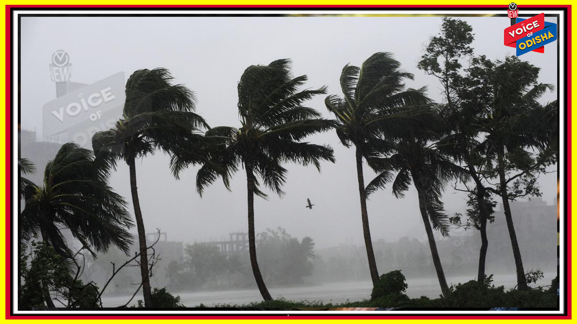 ତାଉ’ତେ ସର୍ବାଧିକ ୧୮୫ କିମି ଛୁଇଁବ