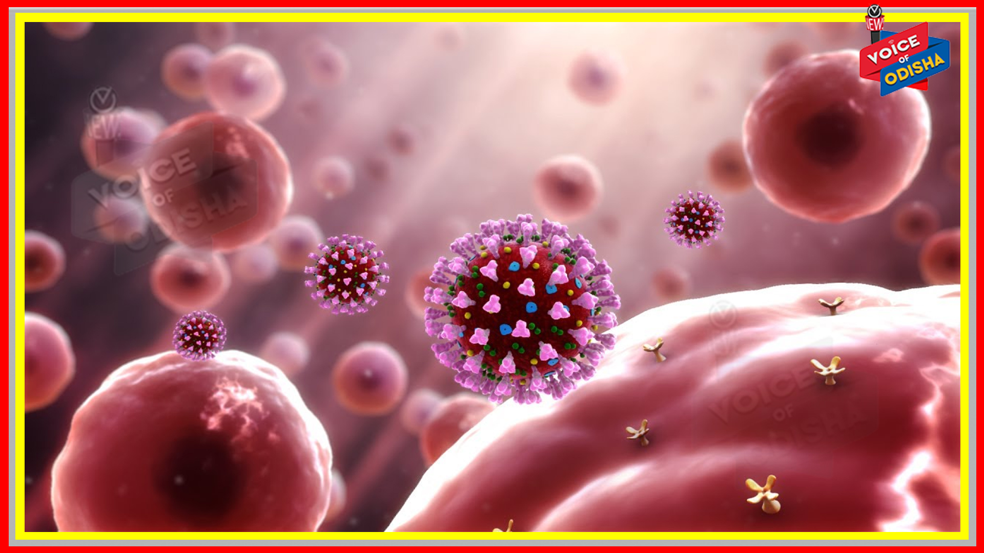 କରୋନା ଦ୍ୱିତୀୟ ଢେଉ : ରାଜ୍ୟରେ ଆଜି ୭ ହଜାର ୧୮୮ ଜଣ ପଜିଟିଭ୍ ଚିହ୍ନଟ