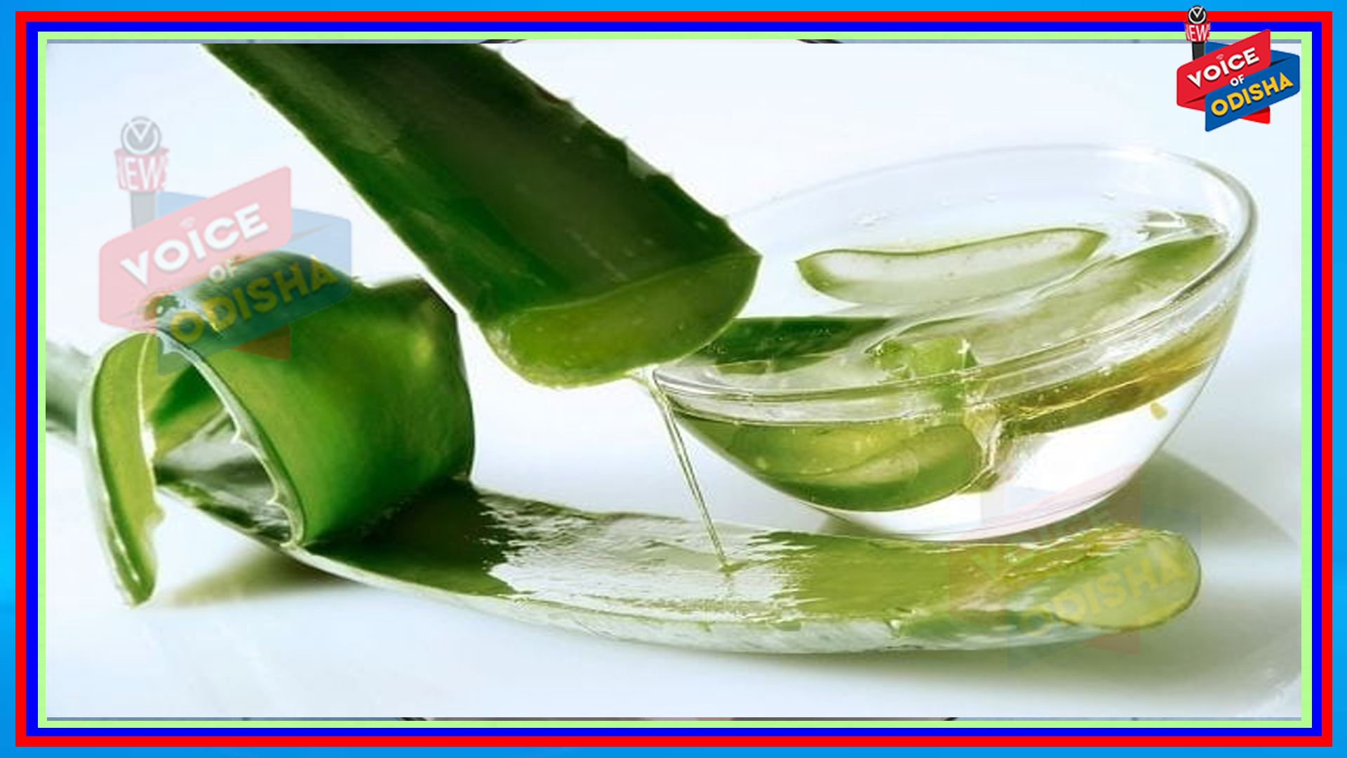 ଅଧିକ ଆଲୋଭେରା ବ୍ୟବହାର କଲେ ହୋଇପାରେ ଗମ୍ଭୀର ସମସ୍ୟା