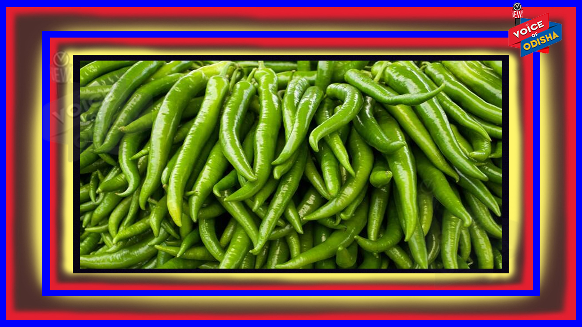 ରୋଗ ପ୍ରତିରୋଧକ ଶକ୍ତି ବଢ଼ାଇବ କଞ୍ଚାଲଙ୍କା