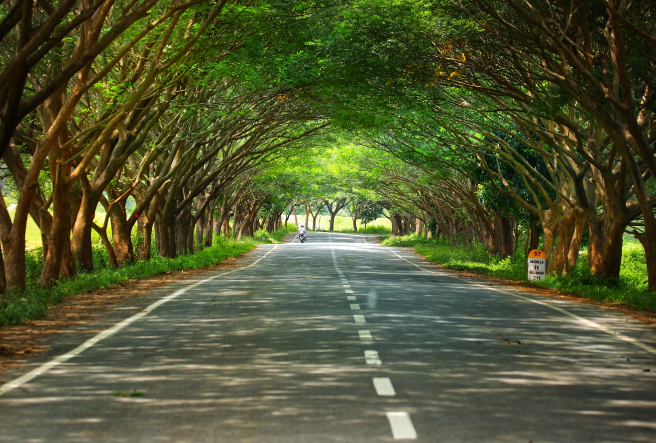 ନବୀନ ପଚାରିଲେ ଏଇଟା କେଉଁ ରାସ୍ତା 