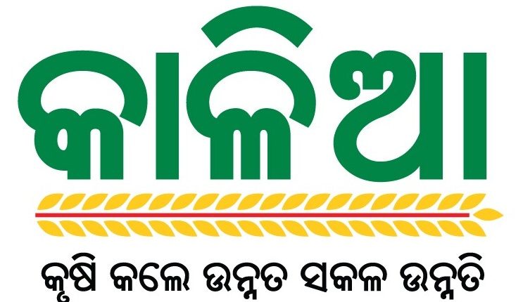 କାଳିଆ ପାଇଁ ଅଧିକ ବ୍ୟୟ ବରାଦ