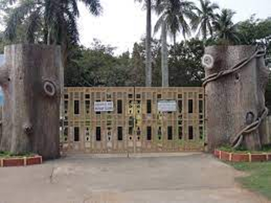 ବଟାନିକାଲ୍‌ ଗାର୍ଡେନ୍‌ରେ ବଣଭୋଜି ଅନୁମତି