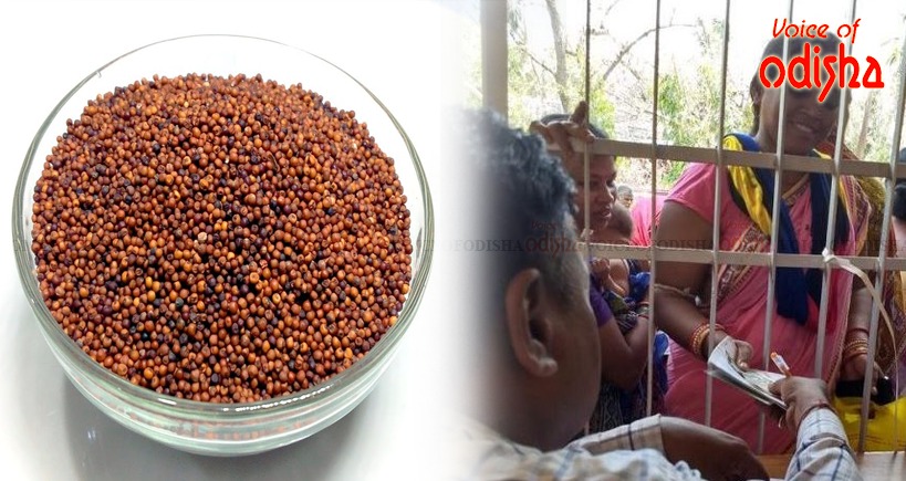 ରାସନକାର୍ଡଧାରୀଙ୍କୁ ୧ ଟଙ୍କାରେ ମିଳିବ ମାଣ୍ଡିଆ