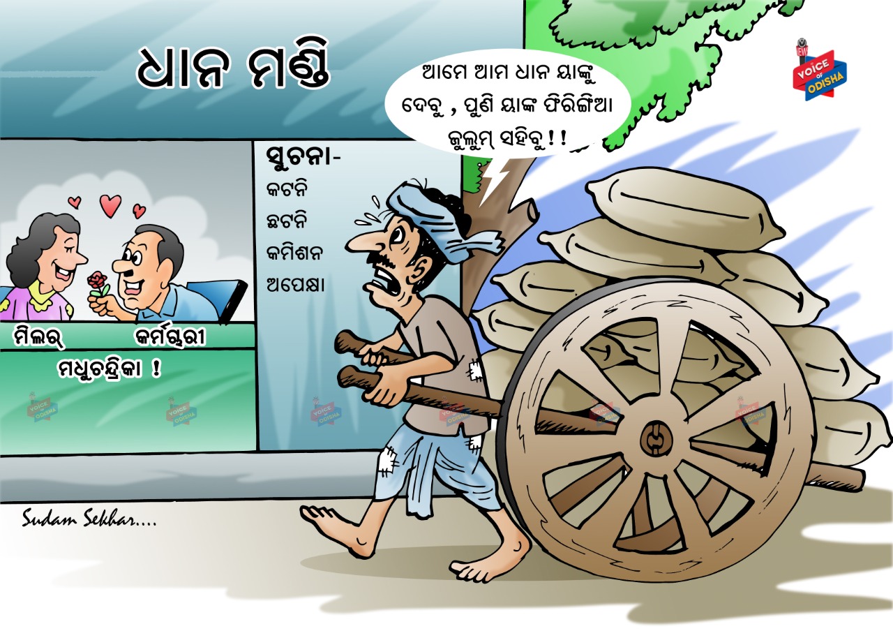 ଚାଷୀ ଦୁଃଖ ବୁଝିବ କିଏ 