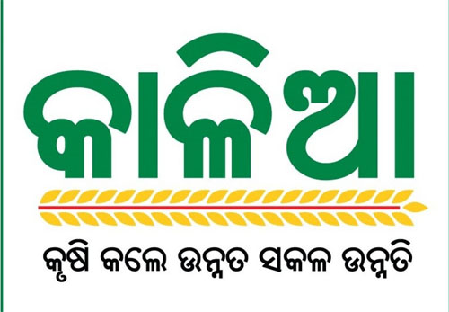 ମିଳିଲା କାଳିଆ କିସ୍ତି ଟଙ୍କା