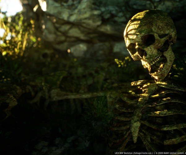 ଜଙ୍ଗଲରୁ ଅଜଣା ନରକଙ୍କାଳ ଉଦ୍ଧାର