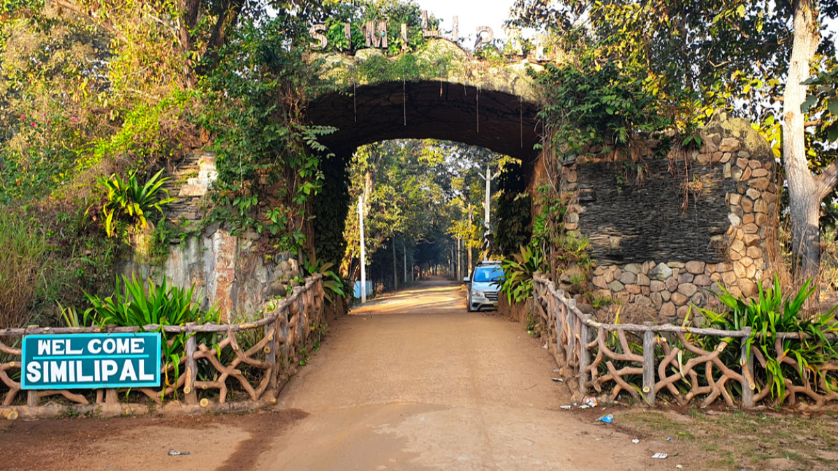 ନଭେମ୍ବର ୧ରୁ ଖୋଲିବ ଶିମିଳିପାଳ ଅଭୟାରଣ୍ୟ