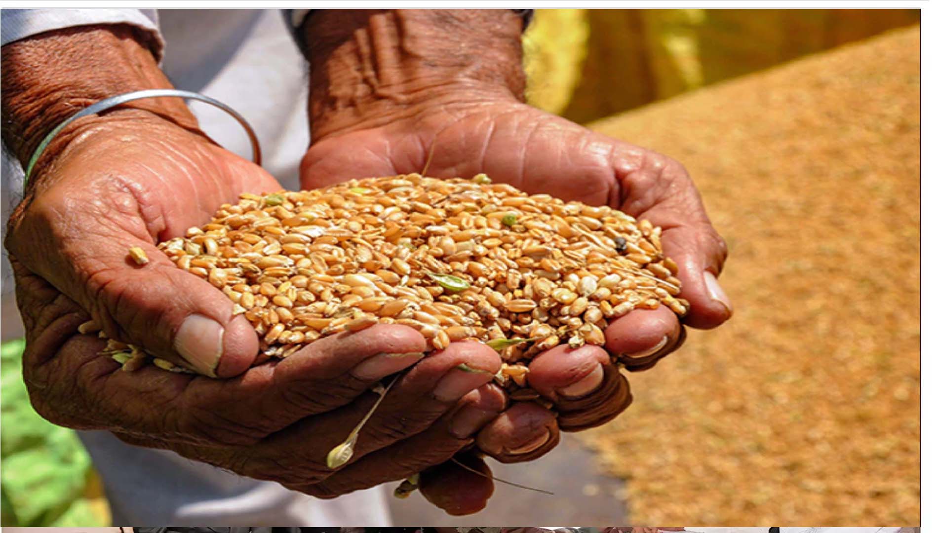 ଆହୁରି ବର୍ଷେ ମିଳିବ ମାଗଣା ରାସନ