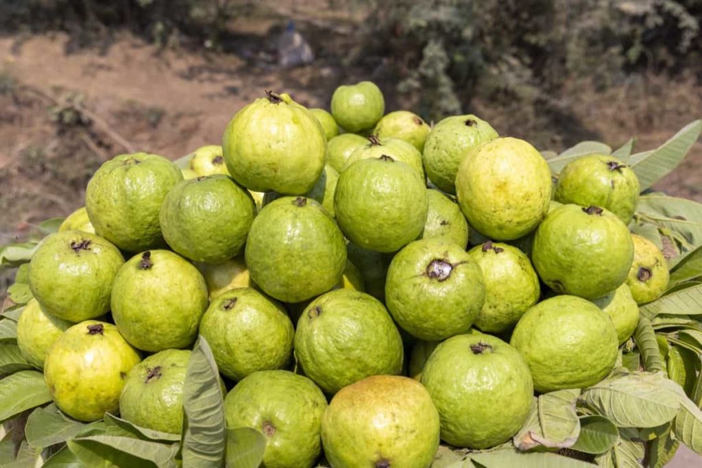 ଏହି ରୋଗୀମାନେ ଭୁଲରେ ଖାଆନ୍ତୁନି ପିଜୁଳି, ନଚେତ୍‌ ଭୋଗିବେ ସାଂଘାତିକ ଅବସ୍ଥା 