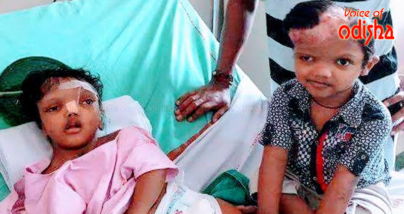  ଆଉ ମାତ୍ର ସପ୍ତାହ ମଧ୍ୟରେ ଫେରିବେ ଜଗା କାଳିଆ