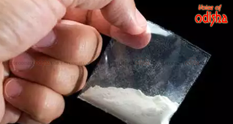 ୨୫ ଲକ୍ଷର ବ୍ରାଉନସୁଗାର ସହିତ ଡ଼ିଲର ଗିରଫ