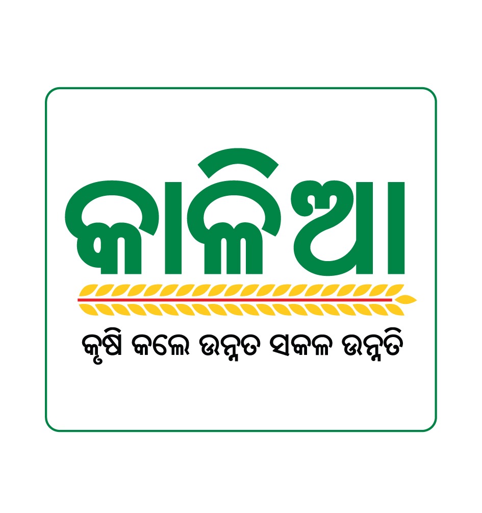 ସରକାରୀ ଚାକିରିଆଙ୍କୁ କାଳିଆ ଟଙ୍କା