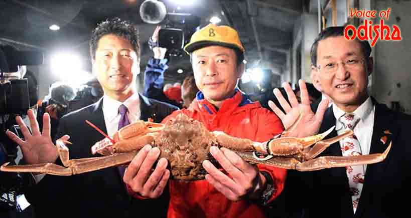 ୩୩ ଲକ୍ଷ ଟଙ୍କାର କଙ୍କଡ଼ା