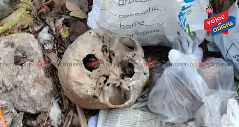 ଡଷ୍ଟବିନ୍‌ରୁ ଗଦାରୁ ନରକଙ୍କାଳ