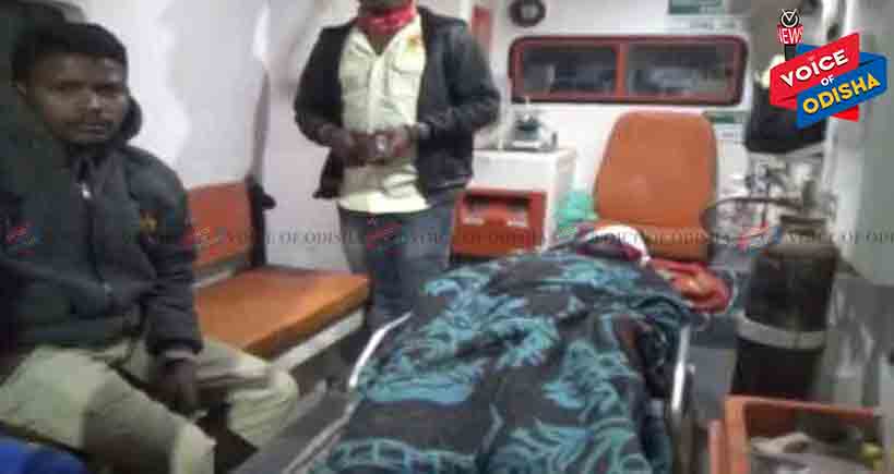 ଭାଲୁ ତାଡିନେଲା ଆଖି