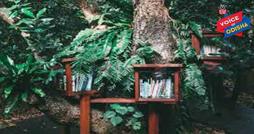 ଜଙ୍ଗଲ ମଝିରେ ଅଜବ ପାଠାଗାର