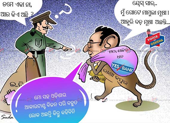 ରାଣା କପୁର: ମୁଁ ଛୋଟ ମୂଷା, ମତେ ଛାଡ ବଡ ମୂଷାକୁ ଧର ।