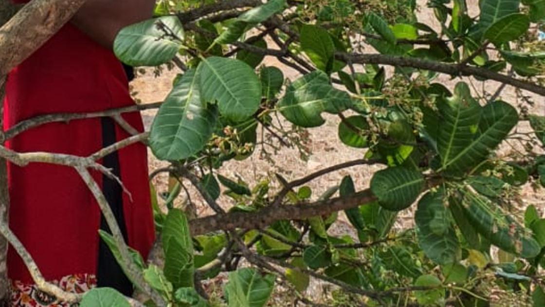  ଓଢଣୀରେ ଫାଶୀ ଦେଇ ମହିଳାଙ୍କ ଆତ୍ମହତ୍ୟା । 