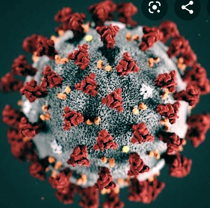 ସାବଧାନ ସୂର୍ଯ୍ୟନଗର : ପ୍ରଥମଥର ପାଇଁ କୋରନା ଆକ୍ରାନ୍ତଙ୍କ ପରିଚୟ ପ୍ରକାଶ କଲା ବିଏମସି 