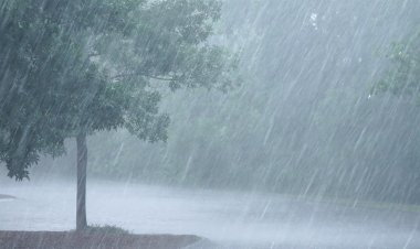 ରାଜଧାନୀରେ ପ୍ରବଳ ବର୍ଷା