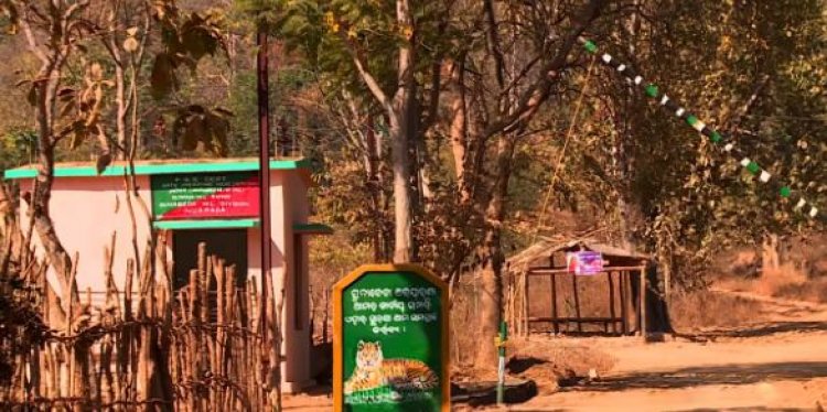 Tiger kills elderly woman in Nuapada village, fear looms large