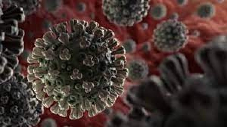 ମାସ୍କ ବାଧ୍ୟତାମୂଳକ ହେଲା ପୁଣି ଗୋଟିଏ ରାଜ୍ୟରେ